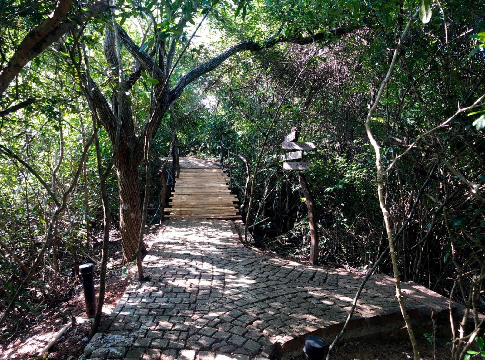 Cloud Nine Wilpattu By Aaradhya Wanathavilluwa Exterior foto